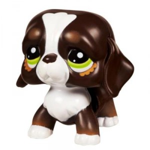 petshop trotteur chien petshop trotteur chien