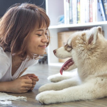Les jouets du chien à faire soi-même